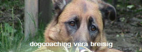 dogcoaching Vera Breisig